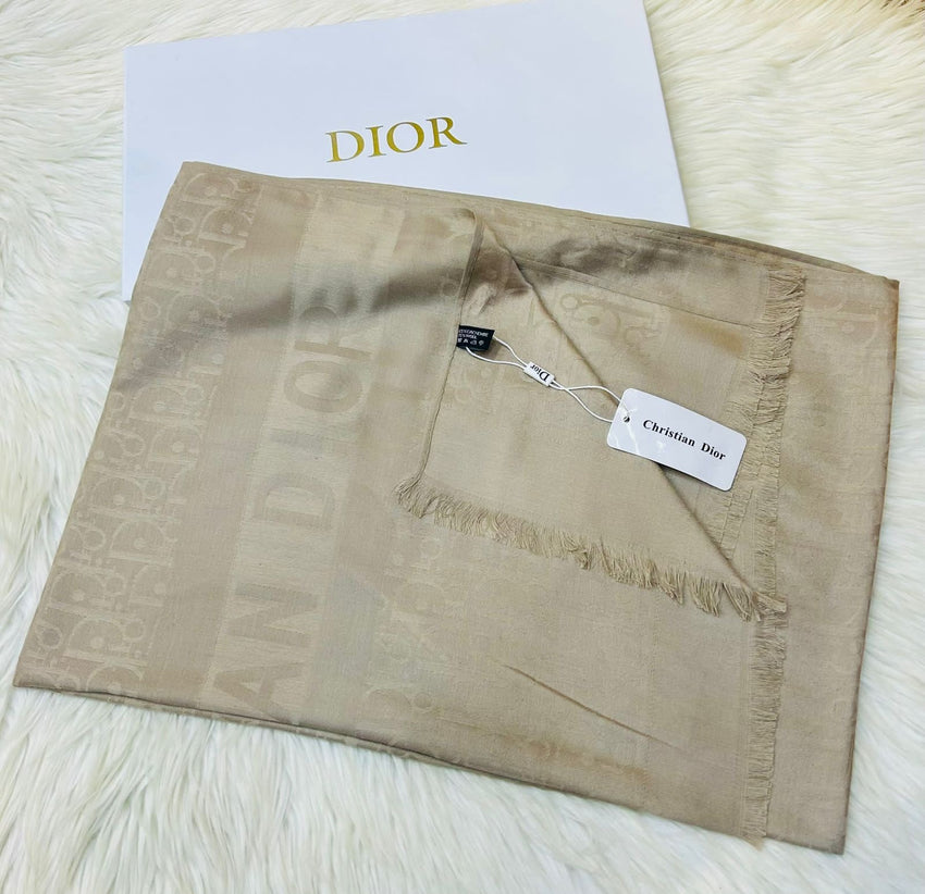 Dior pashmina scarf